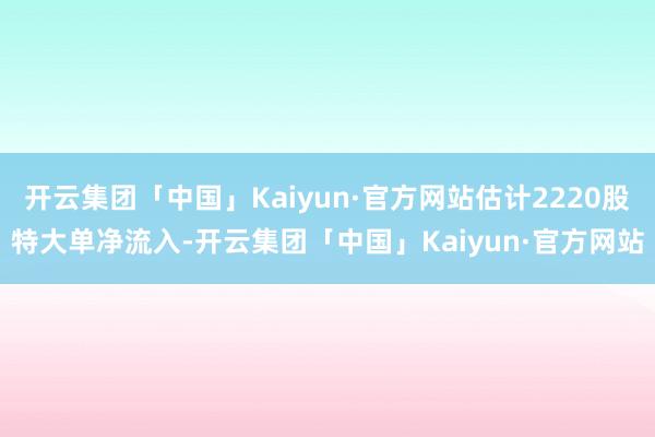 开云集团「中国」Kaiyun·官方网站估计2220股特大单净流入-开云集团「中国」Kaiyun·官方网站