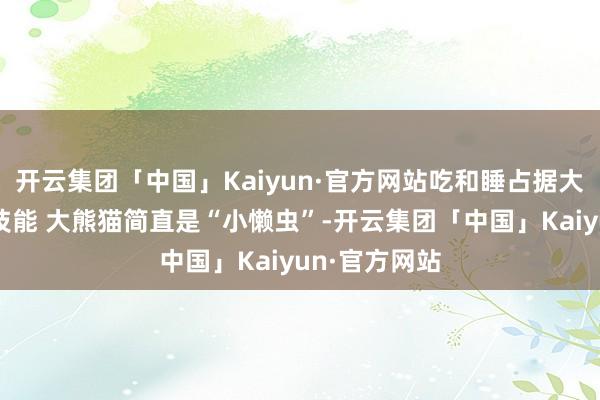 开云集团「中国」Kaiyun·官方网站吃和睡占据大熊猫大部分技能 大熊猫简直是“小懒虫”-开云集团「中国」Kaiyun·官方网站